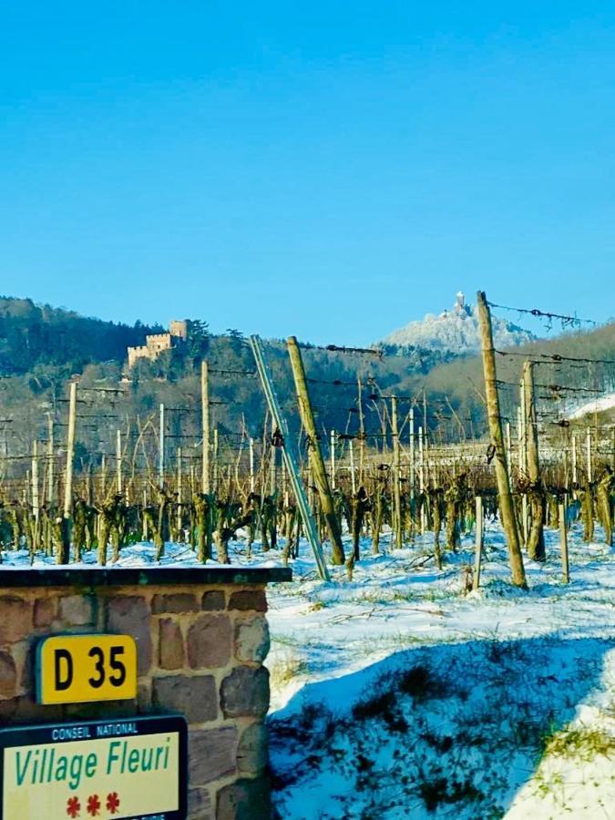 Gîte Spa La grange Kintzheim Bagian luar foto