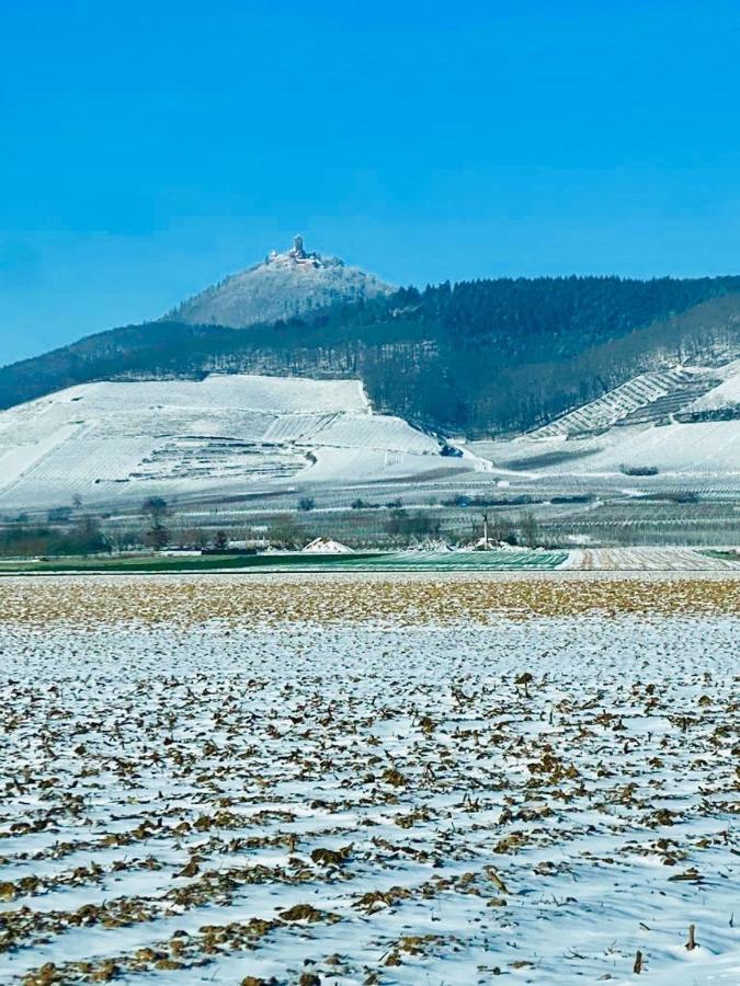 Gîte Spa La grange Kintzheim Bagian luar foto